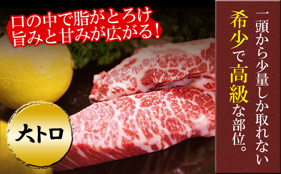 【定期便 全3回】 霜降り馬刺しの食べ比べ約600g（大トロ馬刺し・中トロ馬刺し各約300g）を毎月お届け 醤油・生姜の小袋付き 桜屋 馬刺し 肉 定期便 馬肉 霜降り 大トロ 中トロ 醤油 生姜 食べ比べ 人気 美味しい 父の日　熊本 阿蘇