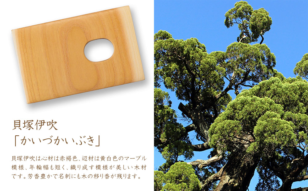 【ウッドデザイン賞 受賞商品】木工職人が作る木の名刺入れ（貝塚伊吹）