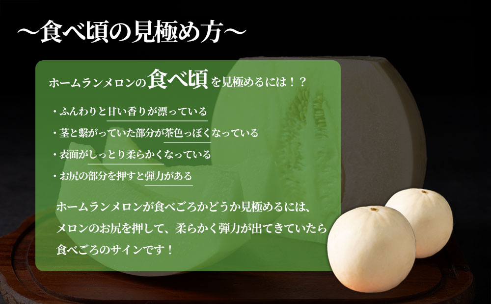 場外ホームランメロン 甘い 白い 希少メロン フルーツギフト ギフト 贈答用 お祝い【6月上旬より順次発送】 熊本県 阿蘇市 