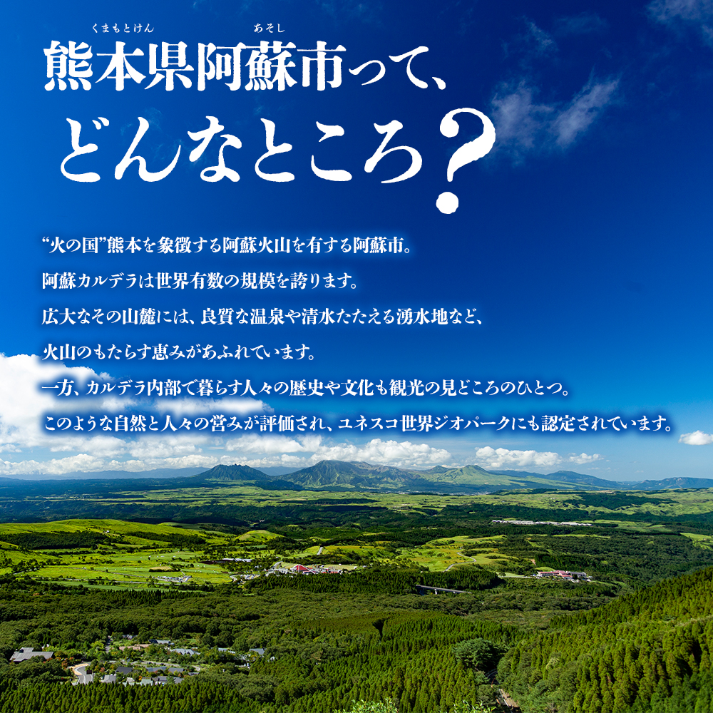 【20,000円分】 阿蘇市 宿泊補助券 観光 旅行 宿泊補助券 クーポン チケット 人気 観光地 選べる 旅館 ホテル 温泉 旅 宿泊 父の日　熊本 阿蘇 ホテルクーポン