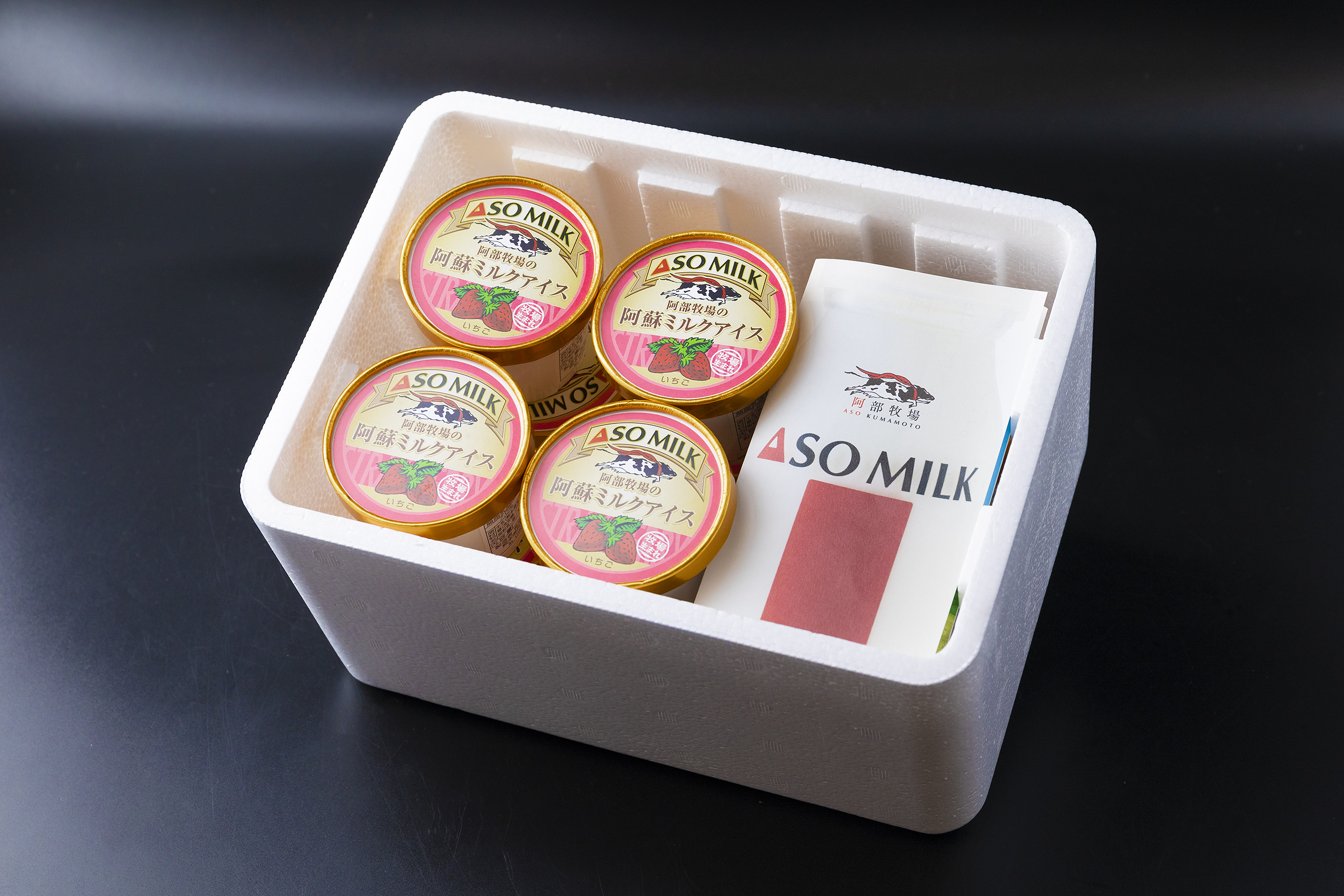 牧場直送！阿蘇ミルクアイスセット ミルク 10個 阿部牧場 アイス ジェラート 牛乳  乳製品 三ツ星 人気 濃厚 こだわり 詰め合わせ スイーツ デザート 熊本 阿蘇