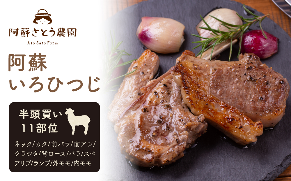 【ふるさと納税】阿蘇いろひつじ 半頭買い 11部位 羊肉 ラム肉 阿蘇さとう農園