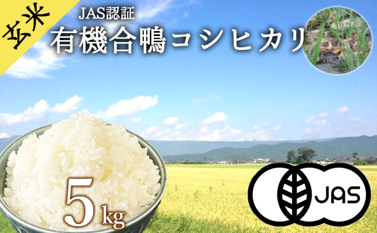 【令和5年度】 JAS認証 阿蘇の美味しいお米 有機合鴨コシヒカリ 5kg 1袋 玄米 有機JAS 無農薬 お米 5kg 三ツ星 受賞 人気 美味しい こだわり 白ご飯 合鴨 合鴨農法 農業	