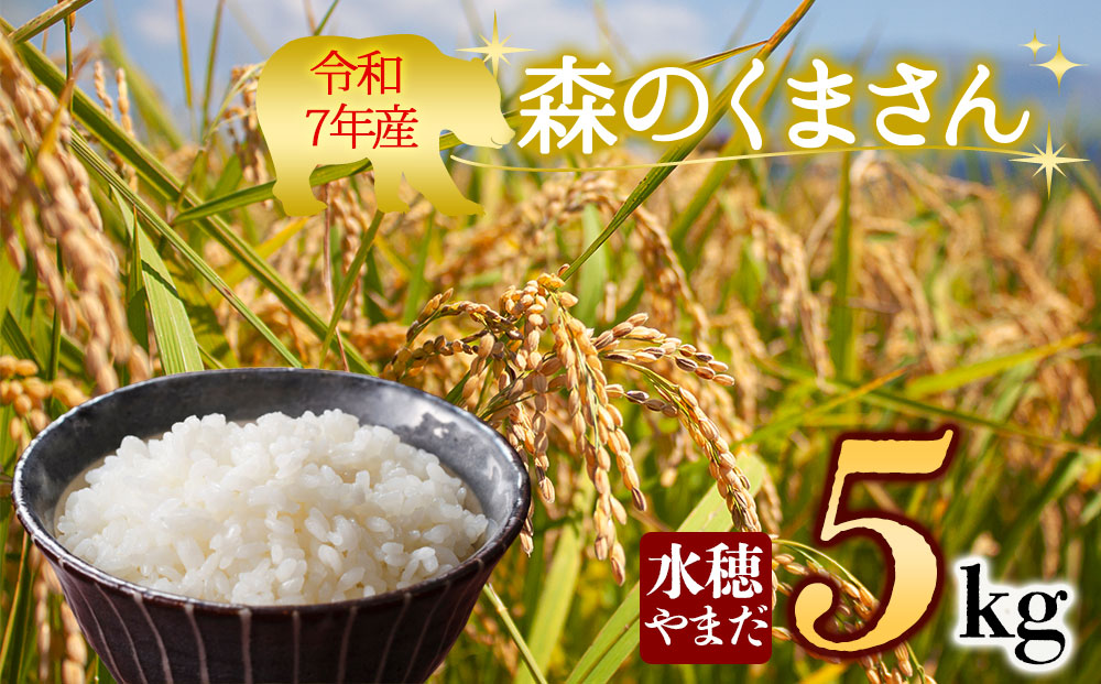 令和7年産　森のくまさん 5kg　水穂やまだ　グランプリ獲得 お米 米 人気 美味しい 弾力 粘り 食感 湧水 熊本 阿蘇