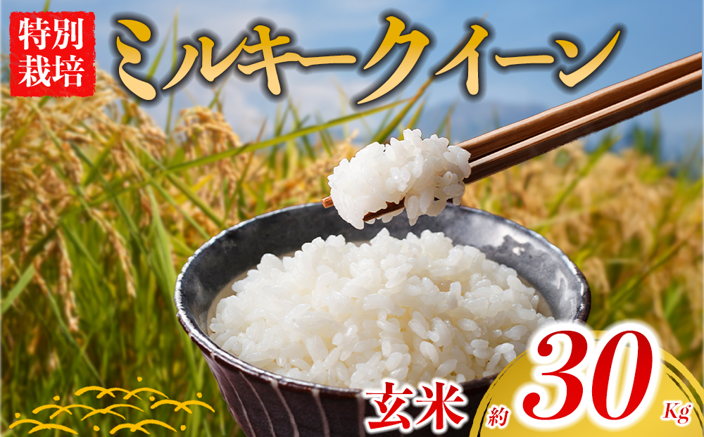 【お米】特別栽培米 ミルキークイーン 約30kg×1【（玄米）阿蘇アグロスタイル 米 ごはん 人気 美味しい みるきーくいーん 甘味 もちもち なめらか 減農薬 湧水 熊本 阿蘇 熊本県 阿蘇市】