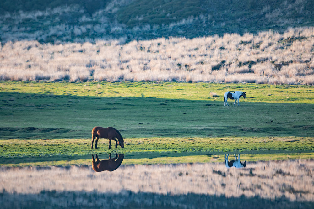 ããµãããšçŽçšãå°åé宿
è¡ã¯ãŒãã³ é¿èåž ãµãããšçŽçš é¿è çæ¬çé¿èåž çæ¬ç æž©æ³ æ
è¡ èŠ³å
å®¿æ³ æ¥æ¬æ
è¡ æ
è¡ 300,000åå 30,000åÃ10æ ããã« æ
通 宿 ãã³ã·ã§ã³ æ°å®¿ å
ç§æž©æ³ ãªãã¬ãã·ã¥ ã¹ãã¬ã¹è§£æ¶ ãµãããšçŽçš çæ¬ç é¿èåž