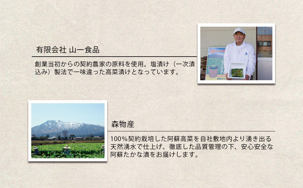 【早春限定】R6年度 阿蘇の新漬け高菜セット 阿蘇高菜 6店舗 食べ比べ