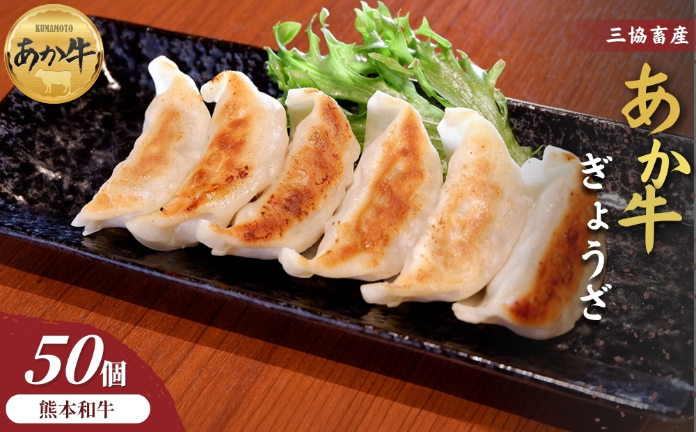 【三協畜産】熊本和牛あか牛ぎょうざ 50個 和牛 国産牛 お取り寄せ ご当地 高級 贅沢 ジューシー餃子 冷凍 あか牛 熊本県産 濃厚肉汁 焼くだけ簡単 熊本県 阿蘇市