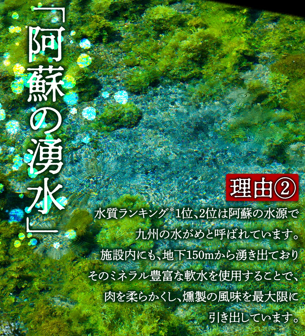 季節のお野菜とひばり工房 3大人気セットver.2 詰め合わせ 食べ比べ 野菜 ベーコン ハム ソーセージ ドイツ コンテスト suffa 金賞 手作り 豚肉 新鮮 減農薬 旬 産地直送 採れたて 美味しい 人気 父の日　熊本 阿蘇