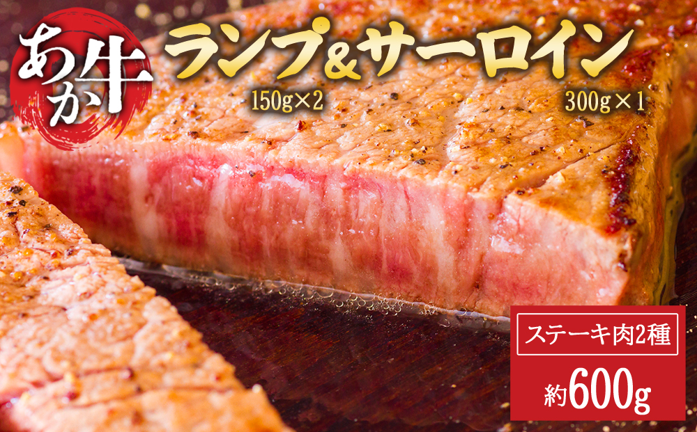 あか牛 ランプ サーロイン ステーキセット 約600g ブランド牛 牛肉 和牛 肉 国産 ランプ ステーキ 赤身 ヘルシー あか牛 人気 希少 希少部位 熊本 阿蘇