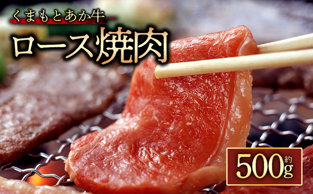 【GI認証】くまもとあか牛ロース焼肉500g 阿蘇牧場 熊本県 阿蘇市