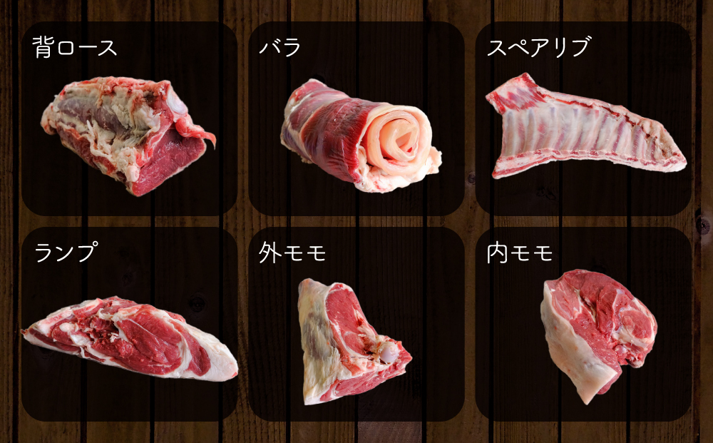 【ふるさと納税】阿蘇いろひつじ 半頭買い 11部位 羊肉 ラム肉 阿蘇さとう農園