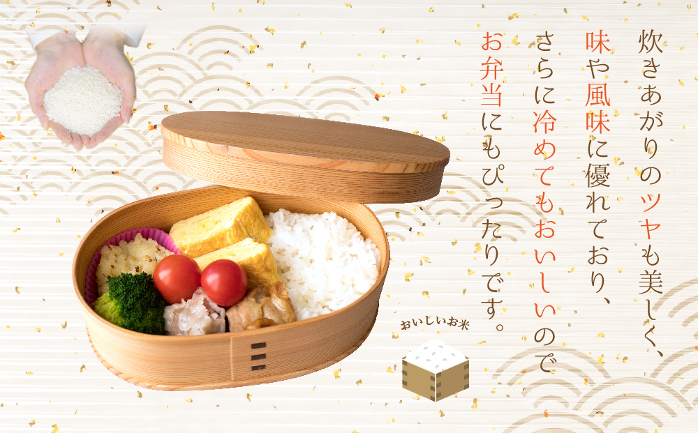 極美純米と黄金純米セット 2kg×2 お米 コンテスト 優秀金賞 ぴかまる ミルキークイーン 世界最高米 原料玄米 米 人気 美味しい こだわり 減農薬 食べ比べ 熊本 阿蘇	