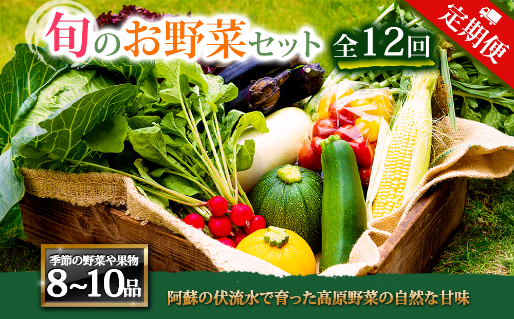 【定期便 全12回】<畑から直送>季節のお野菜セット Lサイズ  野菜 8〜10品 詰め合わせ 新鮮 減農薬 高原 旬 産地直送 採れたて 甘い 美味しい 人気 安心 安全 熊本県 阿蘇市
