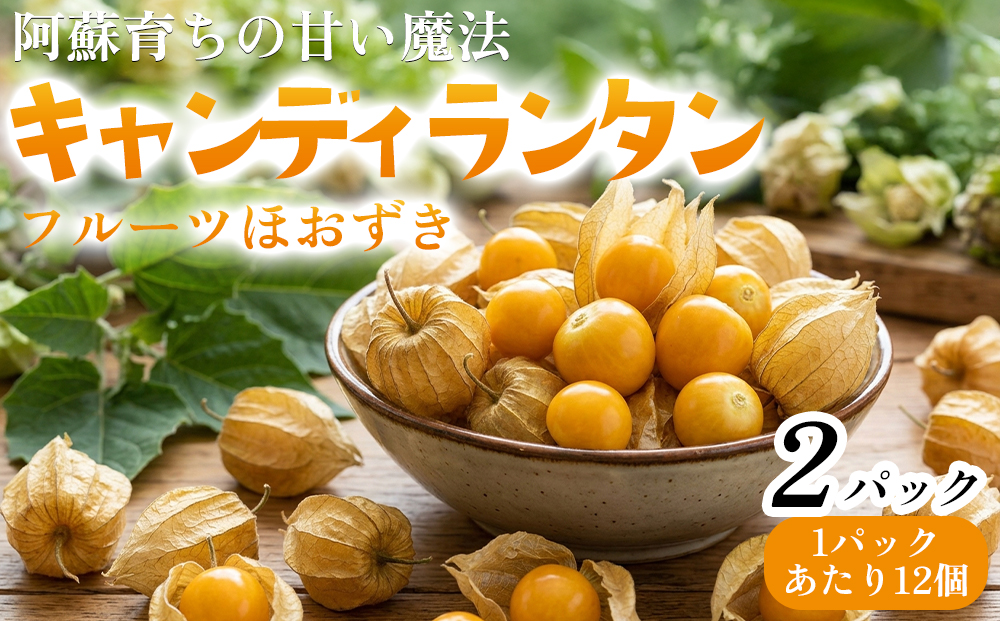 阿蘇育ちの甘い魔法 キャンディランタン フルーツほうずき 食用ほうずき 12個入×2パック おすそわけ農園 野菜 やさい 新鮮 旬 阿蘇市