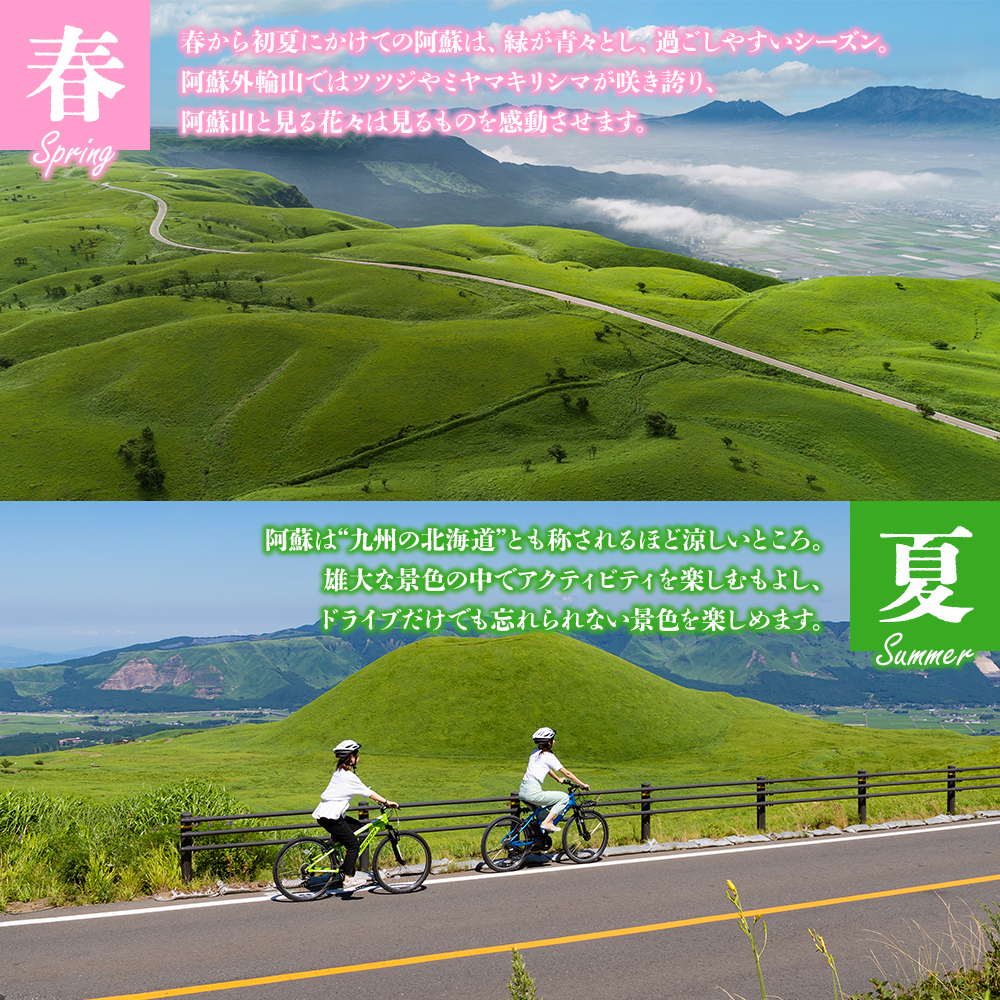 【20,000円分】 阿蘇市 宿泊補助券 観光 旅行 宿泊補助券 クーポン チケット 人気 観光地 選べる 旅館 ホテル 温泉 旅 宿泊 父の日　熊本 阿蘇 ホテルクーポン