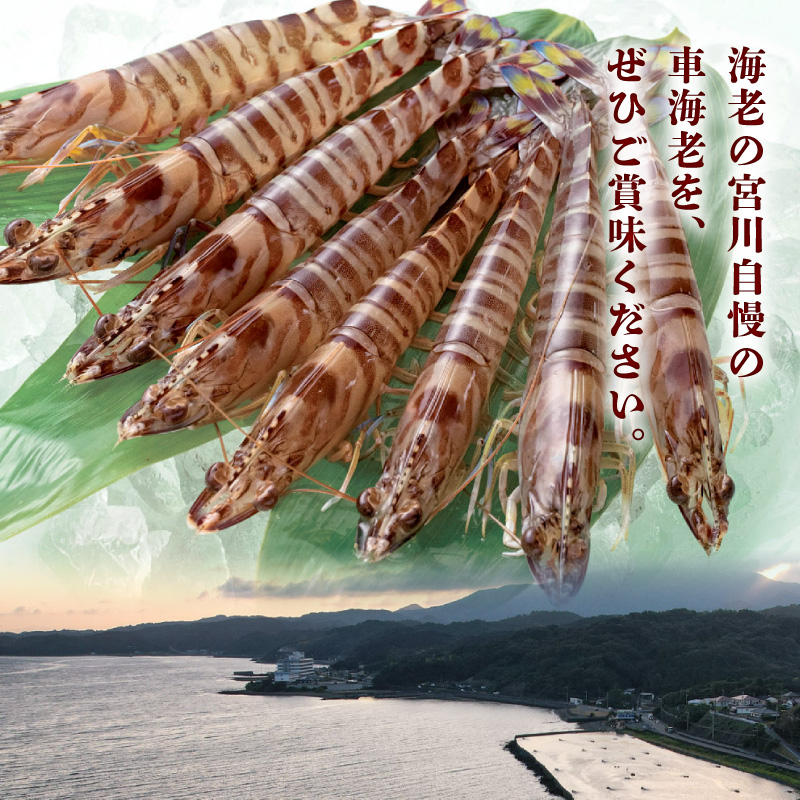 S065-006_豢サ縺阪蜀キ蜃崎サ頑オキ閠 500g