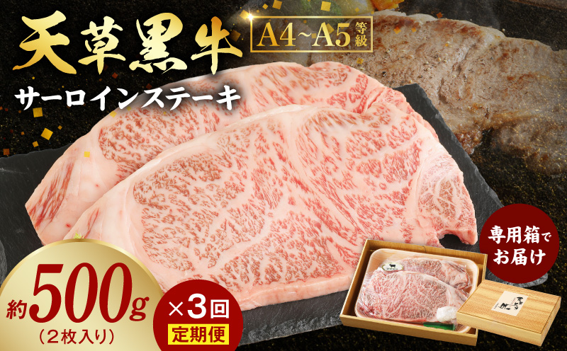 S074-013-T03_縲仙ョ壽悄萓ソ3蝗槭大、ゥ闕蛾サ堤央 繧オ繝シ繝ュ繧、繝ウ 繧ケ繝繝シ繧ュ 2譫壼・ 邏500g 鮟呈ッ帛柱迚 A4縲5遲臥エ