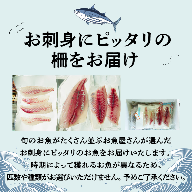 S121-T02_【隔月　6回お届け】天草天然鮮魚を直送　お刺身用柵定期便