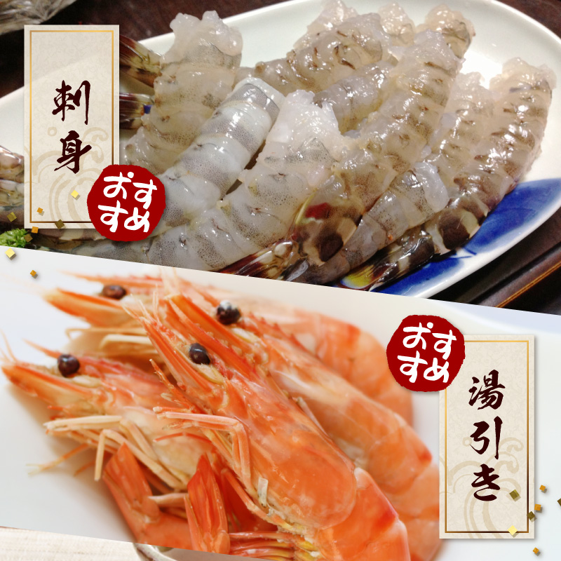 S187-001_生食可 活き〆急速冷凍車海老250g