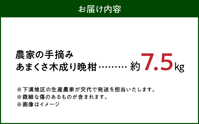S040-023_農家の手摘みあまくさ木成り晩柑 　約7.5kg