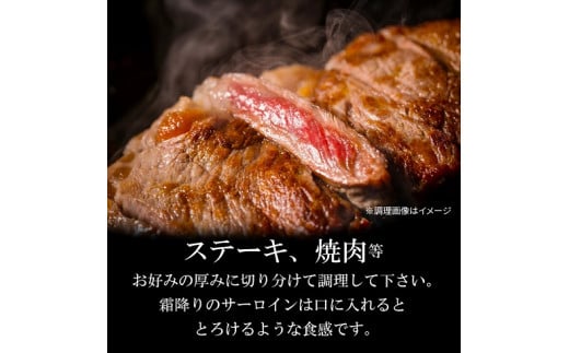 S001-013_熊本県産 黒毛和牛 サーロイン ブロック 3kg ステーキ ブロック肉