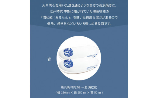 S026-064_天草 高浜焼 楕円カレー皿 2枚（青）