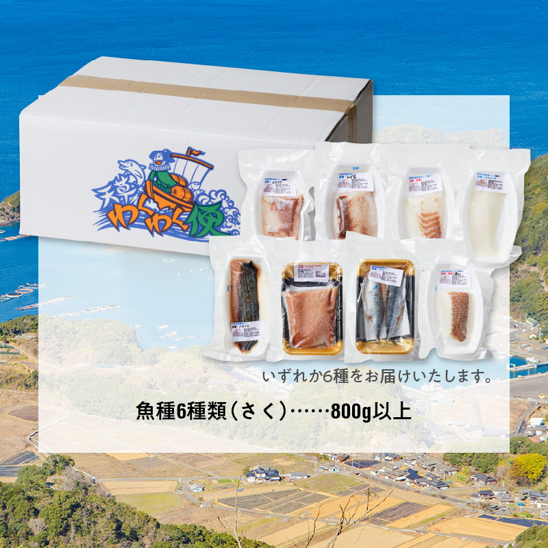 S059-015_天草わくわく旬魚刺身づくし（さく）8〜9人前