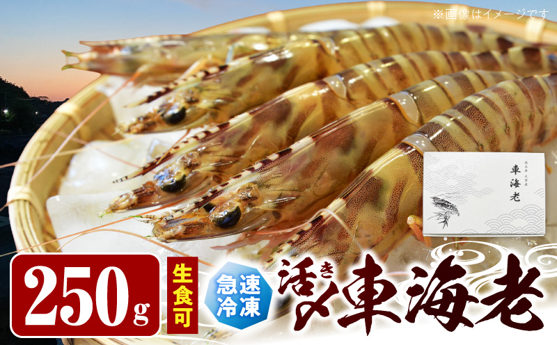 S187-001_生食可 活き〆急速冷凍車海老250g