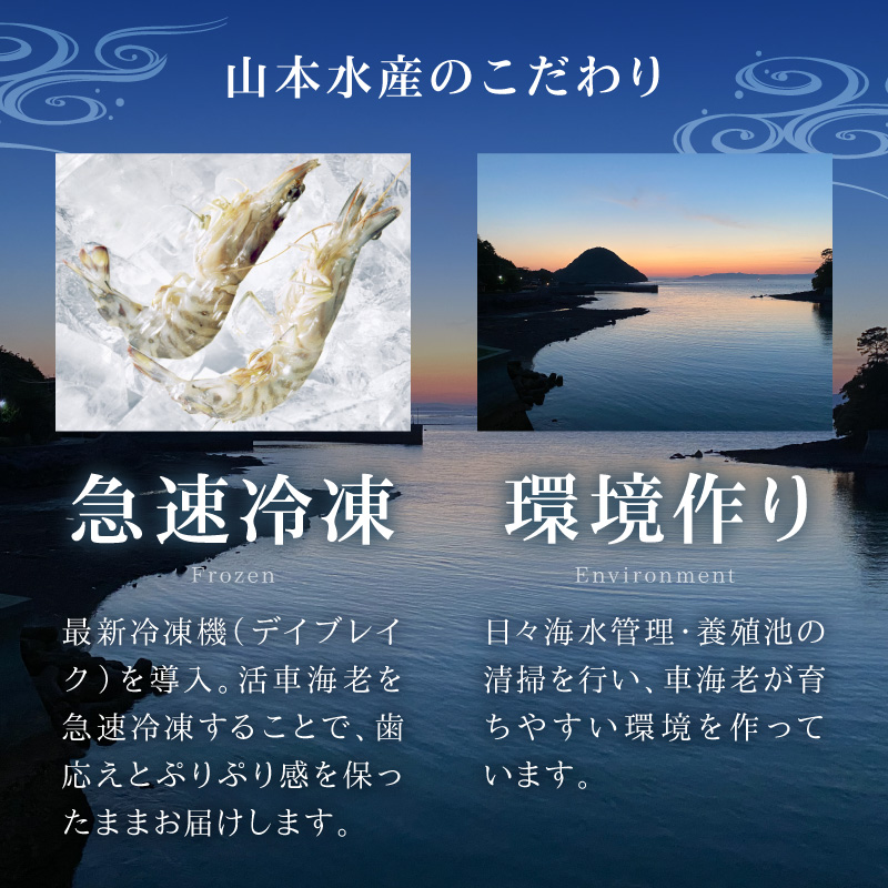 S187-002_生食可 活き〆急速冷凍車海老500g