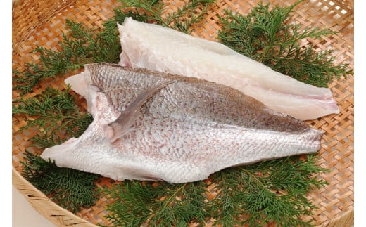 S006-004_螟ゥ闕芽穀豕「逵滄ッ帙繝輔ぅ繝ャ縲1蟆セ蛻