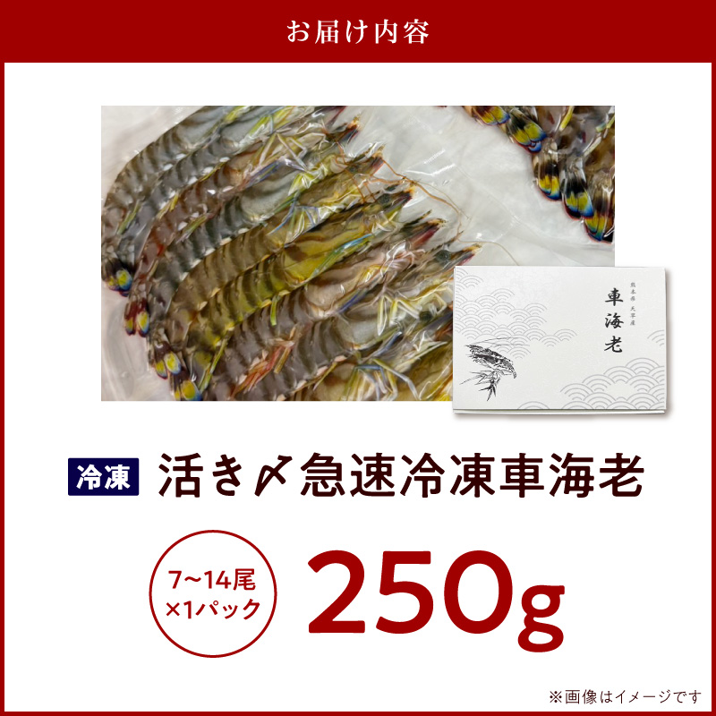 S187-001_生食可 活き〆急速冷凍車海老250g