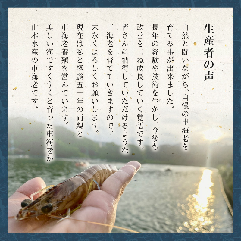 S187-002_生食可 活き〆急速冷凍車海老500g