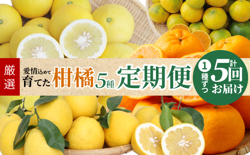 S040-017_【定期便5回】厳選！天草 下浦地区の農家が愛情込めて育てた柑橘5種〈先行予約〉