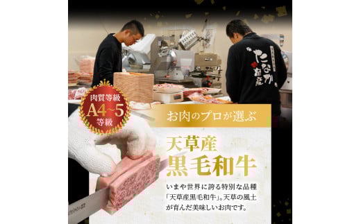 S001-014_熊本県産 黒毛和牛 特撰 霜降りモモ ブロック 3.5kg ブロック肉