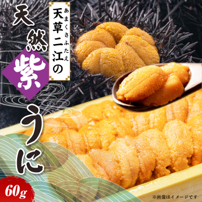 S157-010_天草二江の天然紫うに 60g