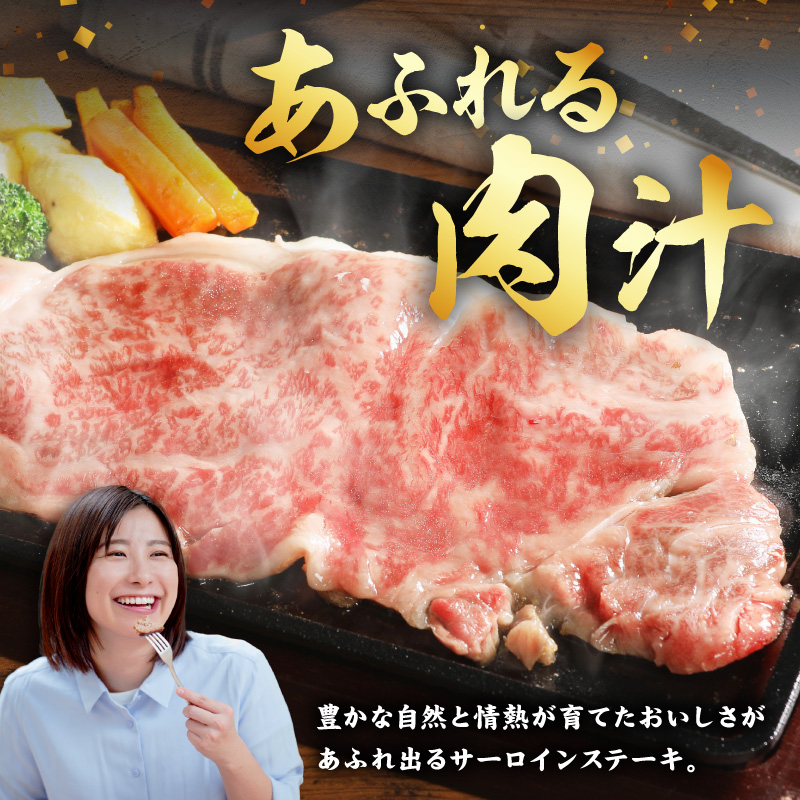S074-013-T03_縲仙ョ壽悄萓ソ3蝗槭大、ゥ闕蛾サ堤央 繧オ繝シ繝ュ繧、繝ウ 繧ケ繝繝シ繧ュ 2譫壼・ 邏500g 鮟呈ッ帛柱迚 A4縲5遲臥エ