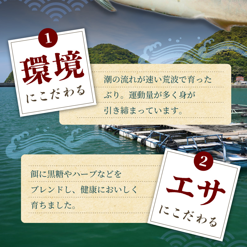 S006-017_縺カ繧雁、ァ譬ケ5蛟九そ繝繝