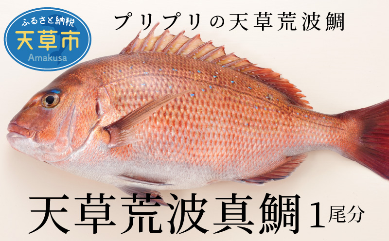 S006-004_螟ゥ闕芽穀豕「逵滄ッ帙繝輔ぅ繝ャ縲1蟆セ蛻