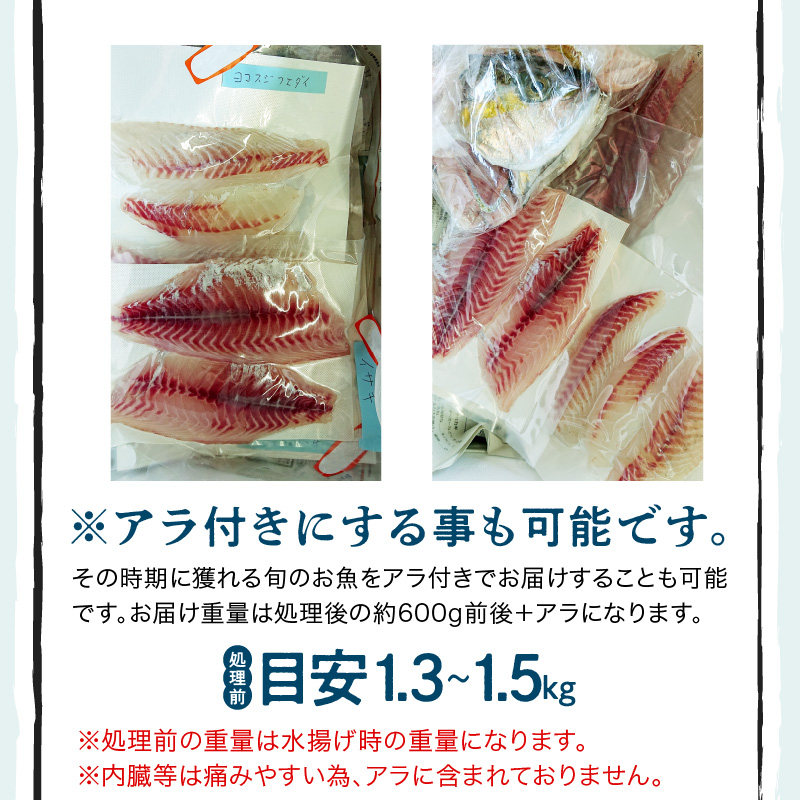 S121-T02_【隔月　6回お届け】天草天然鮮魚を直送　お刺身用柵定期便