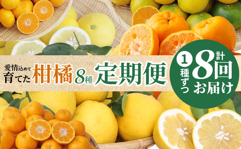 S040-019_【定期便8回】天草 下浦地区の農家が愛情込めて育てた柑橘8種食べ尽しコース〈先行予約〉