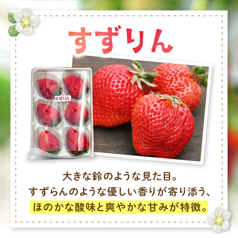 S186-001-03_【3月〜5月発送】朝摘み完熟イチゴセット（マロンベリー・すずりん）