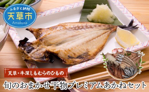 S009-002_天草・牛深 しもむらのひもの 旬のおまかせ干物プレミアムあかねセット