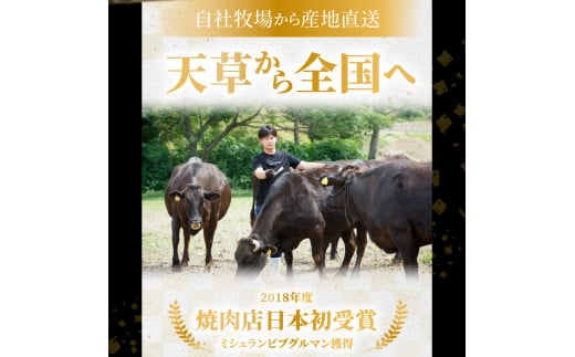 S001-013_熊本県産 黒毛和牛 サーロイン ブロック 3kg ステーキ ブロック肉