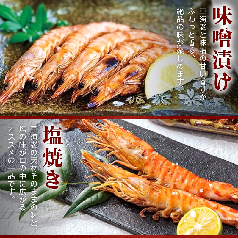 S065-006_豢サ縺阪蜀キ蜃崎サ頑オキ閠 500g