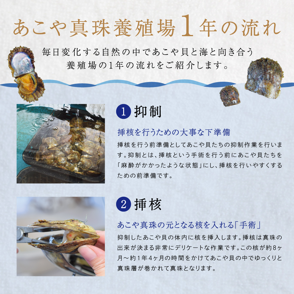 S101-417_あこや真珠 天草 ピアス シェル 8mm - 8.5mm ドロップ ホワイトピンク K18 K14 YG WG