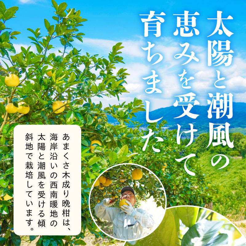 S040-032_èŸ²å®¶ã®ææã¿ãããŸããæšæãæ©æã5kg