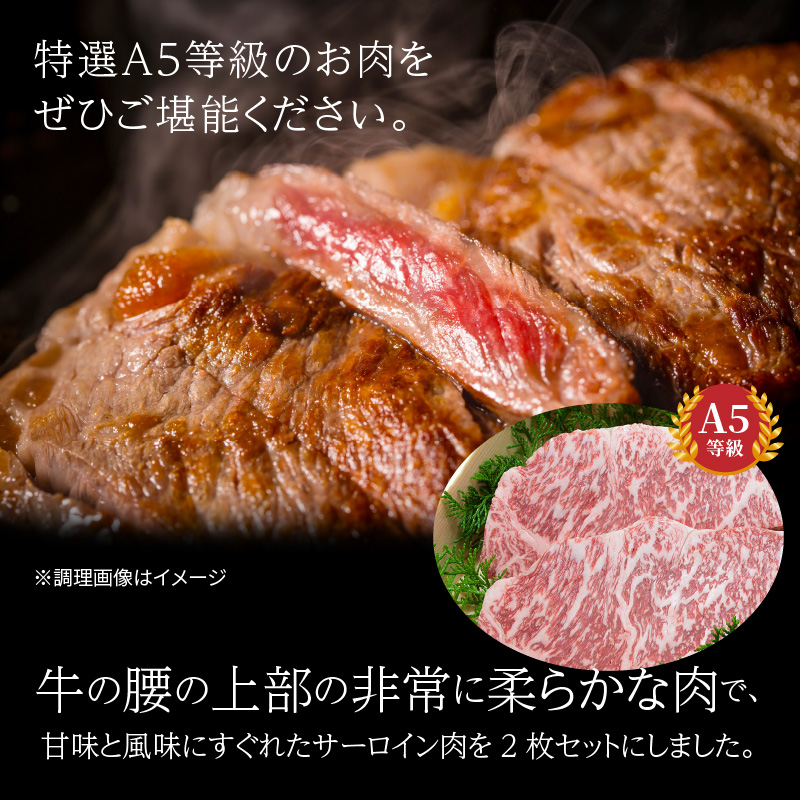 S001-015-T03_ãå®æäŸ¿3åã倩èç£ é»æ¯åç A5ççŽ ç¹éžãµãŒãã€ã³ã¹ããŒã 2æ