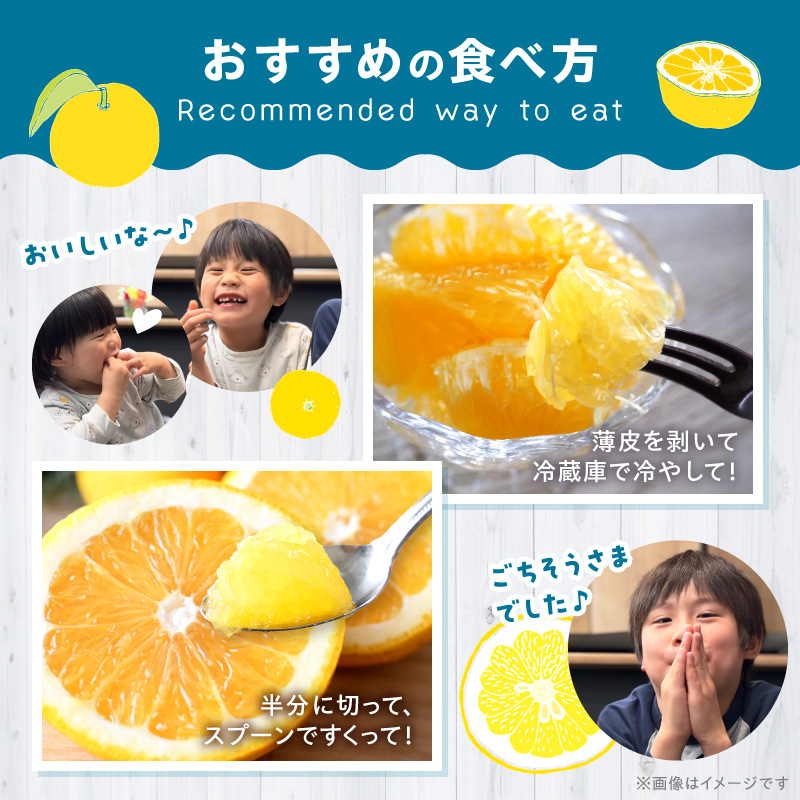 S040-032_èŸ²å®¶ã®ææã¿ãããŸããæšæãæ©æã5kg
