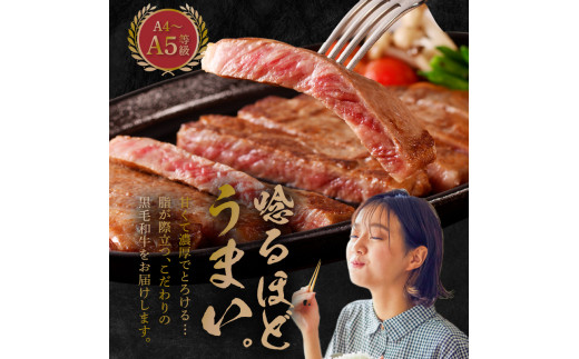 S001-022-T03_縲仙ョ壽悄萓ソ3蝗槭羨4縲廣5遲臥エ 鮟呈ッ帛柱迚 繧オ繝シ繝ュ繧、繝ウ繧ケ繝繝シ繧ュ 1譫夲シ300gシ峨◆繧1譛ャ莉
